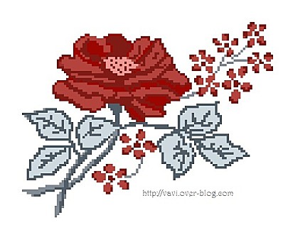 rose